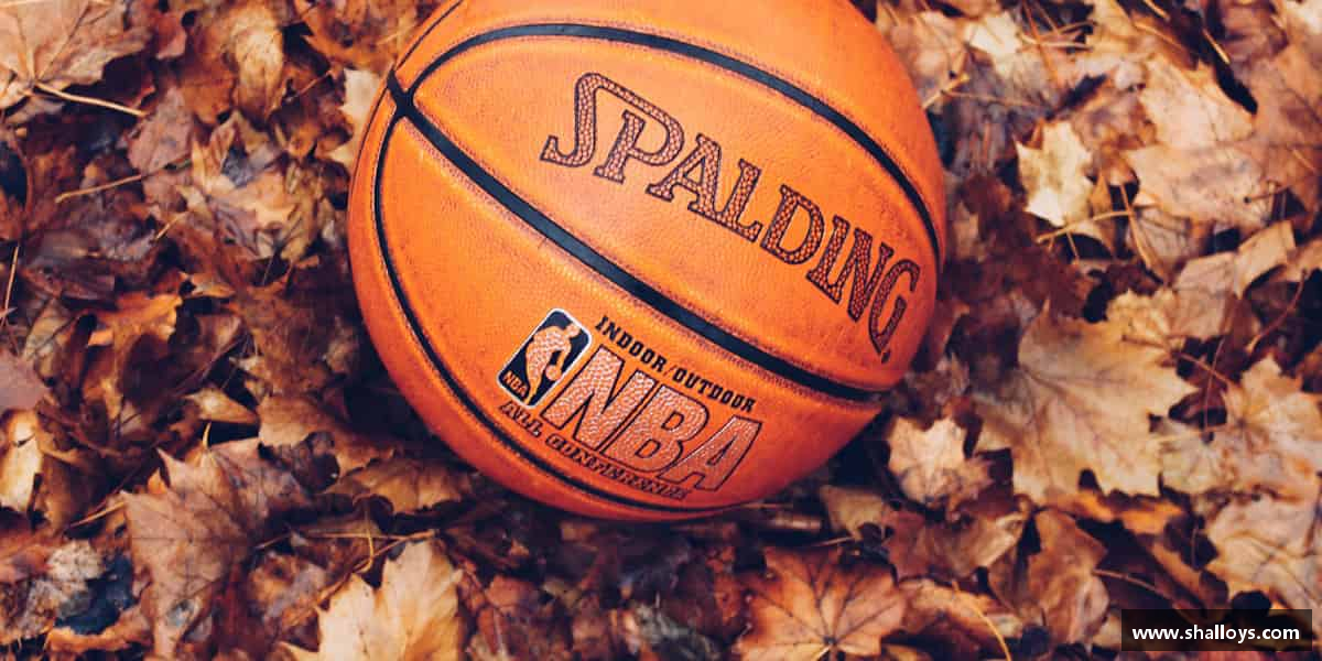 发现Bsport手机版